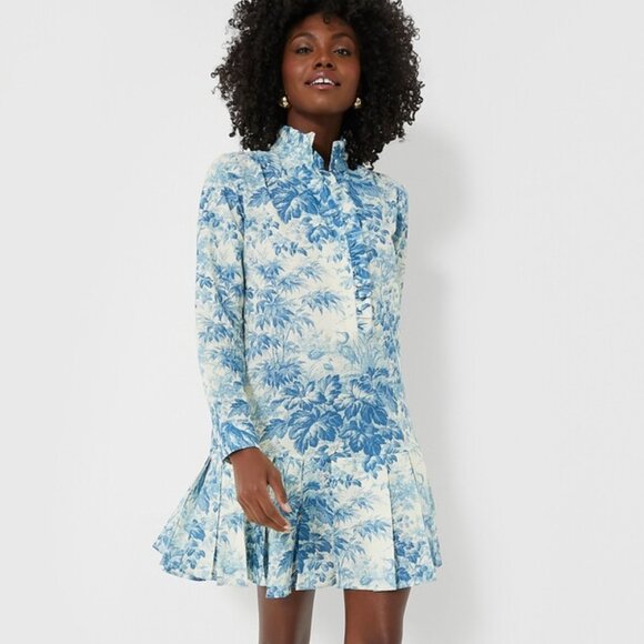 Tuckernuck Dresses & Skirts - Tuckernuck Tate Dress Toile Blue Floral Women's Ruffle Pleated Xl